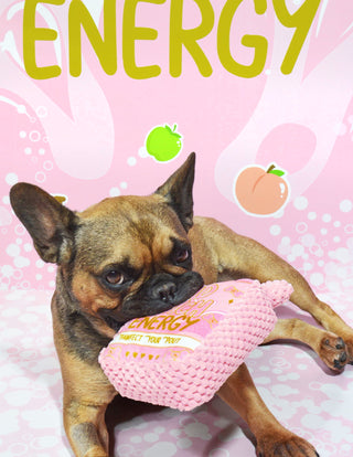 P.Louise Bad B*tch kutyajáték