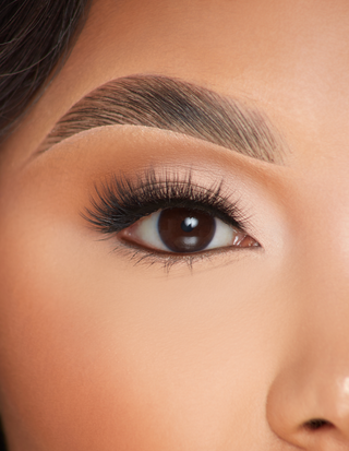 P.Louise Lashes - Teljes virágzásban