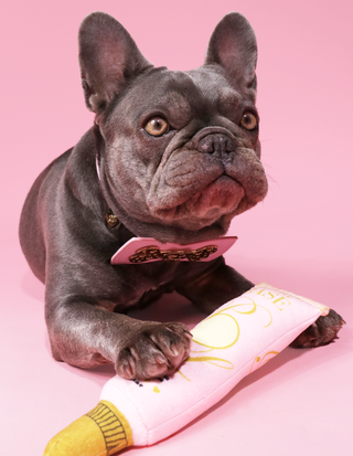 P. Louise alap kutyajáték