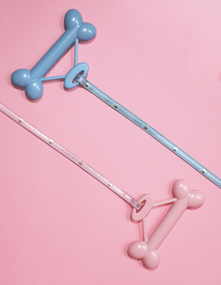 P. Louise kutyavezető