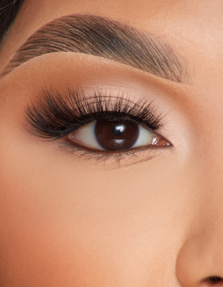 P.Louise Feather Flair Lashes