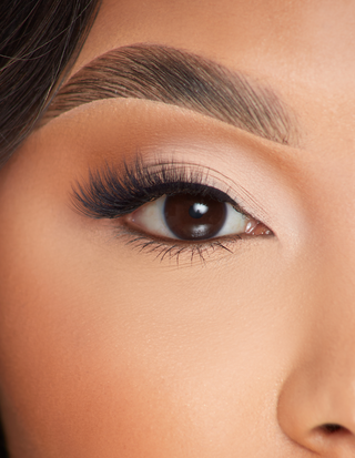 P.Louise First Sight Cat Eye Lashes