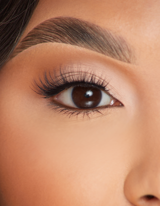 P.Louise Lashes – Egy utolsó szerelem