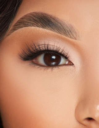 P.Louise Lashes – Taste Of Tease