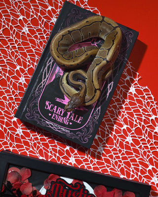 P.Louise Scary Tale Ending Halloween paletta